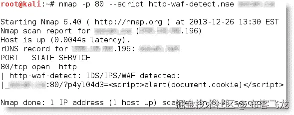 对网站进行侦察