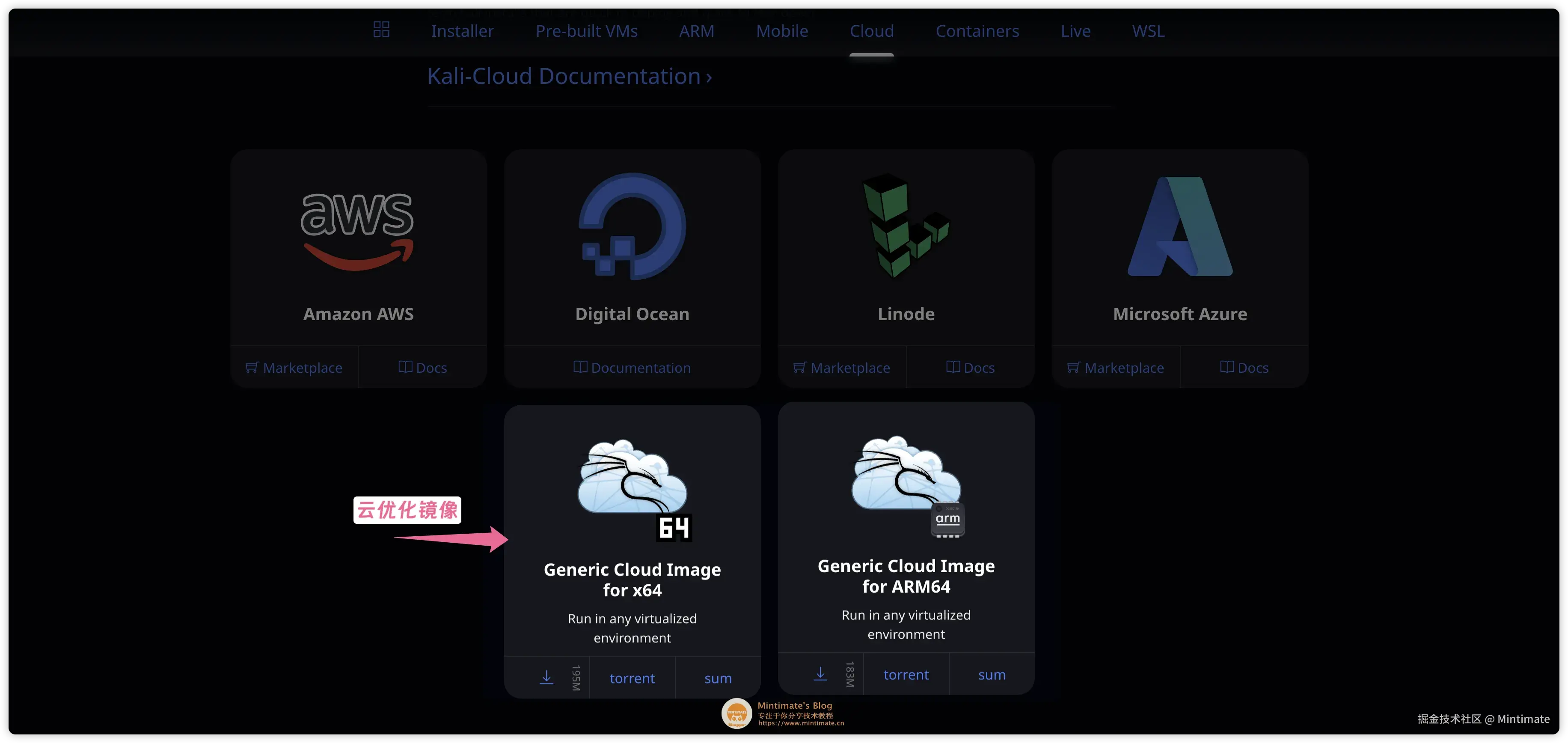 Kali Linux 云优化镜像