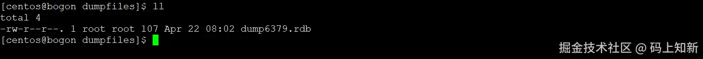 image-20240422230445974