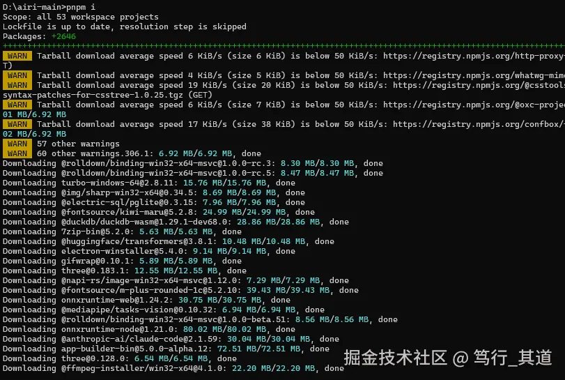 pnpm install 过程
