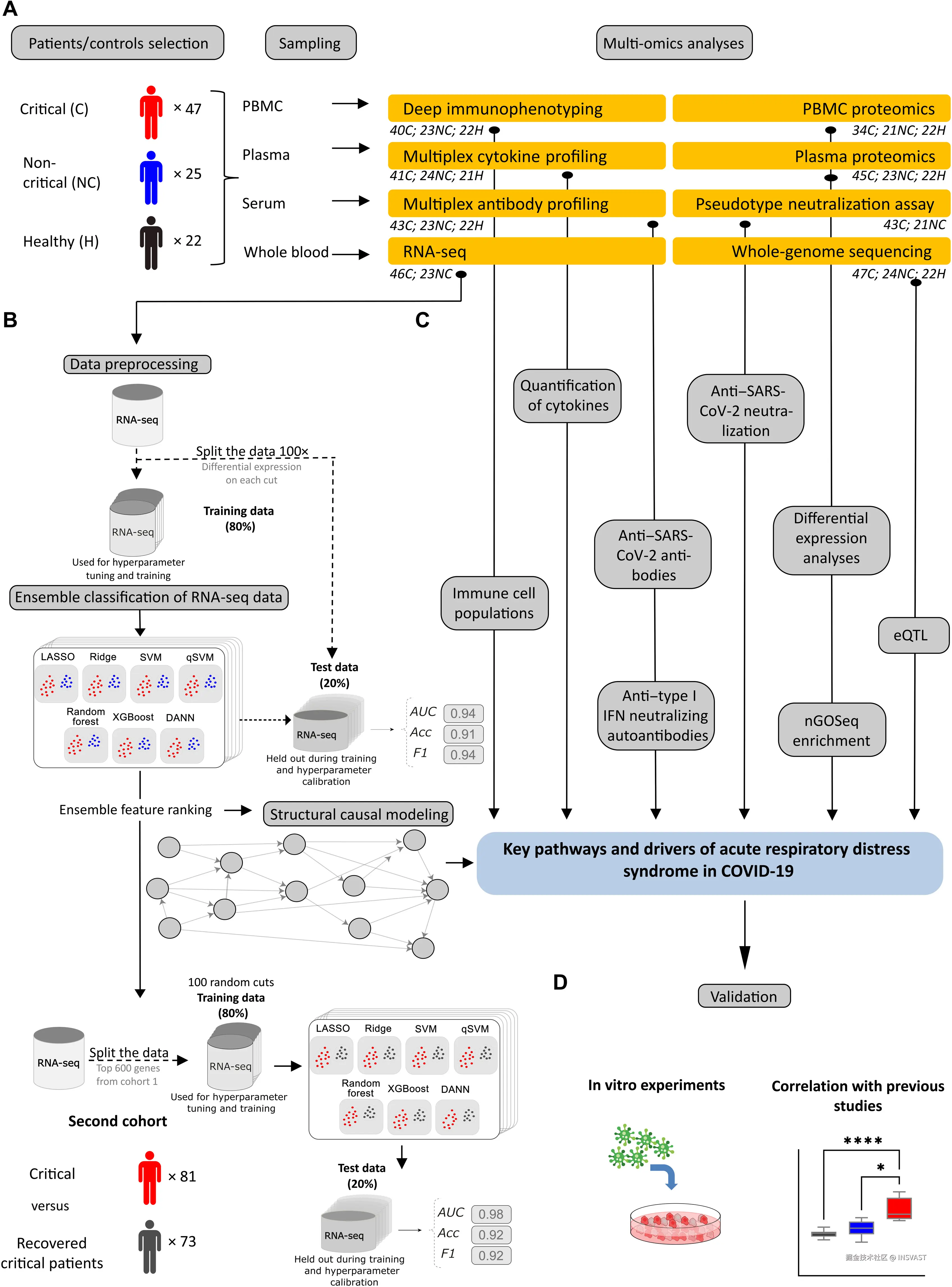 图3  多组学分析策略识别COVID-19 ARDS的关键通路和驱动因素  (A) 研究纳入47名重症患者(C)、25名非重症患者(NC)和22名健康对照(H)。  (B) 展示了基于NC与C组比较的RNA测序分析流程。  (C) 对细胞因子和免疫细胞进行定量。WGS数据与RNA测序的基因计数一起用于eQTL分析。蛋白组学数据进行差异蛋白表达和nGOseq富集分析。  (D) 在第二组队列(81名重症和73名康复重症患者)中验证了(B)和(C)中组学分析得到的关键通路和驱动因素；P < 0.05和***P < 0.0001。将主要驱动基因ADAM9的差异表达与公开可用的整体RNA测序数据进行比较。最后，进行SARS-CoV-2体外感染实验以验证驱动基因候选者。