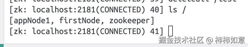 zookeeper_create_ls_java.png