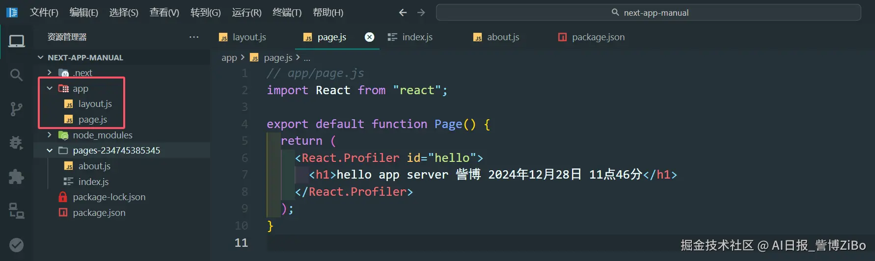 image-20241228114741688