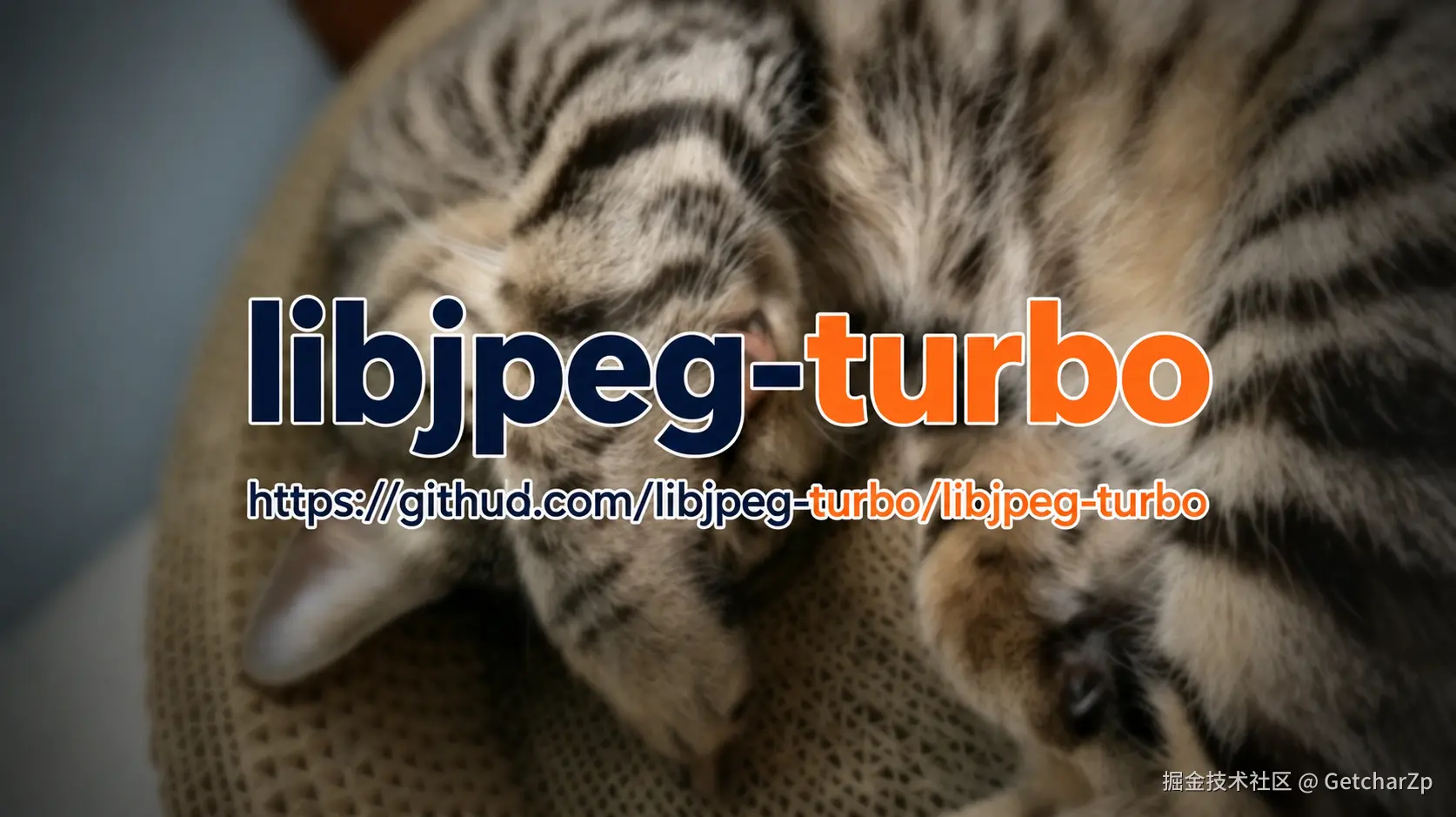 a14037eeb42fa95dfa5ed55f6ee6f7bc.png