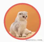带边框的圆角