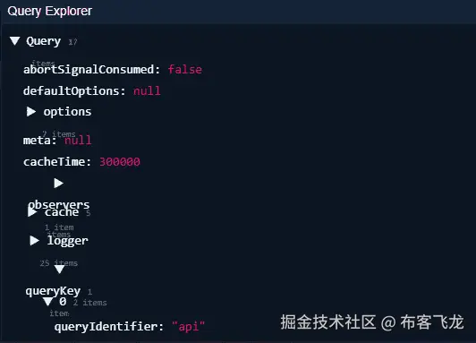 图 5.3 – React Query Devtools 查询详情标签页显示查询探索器