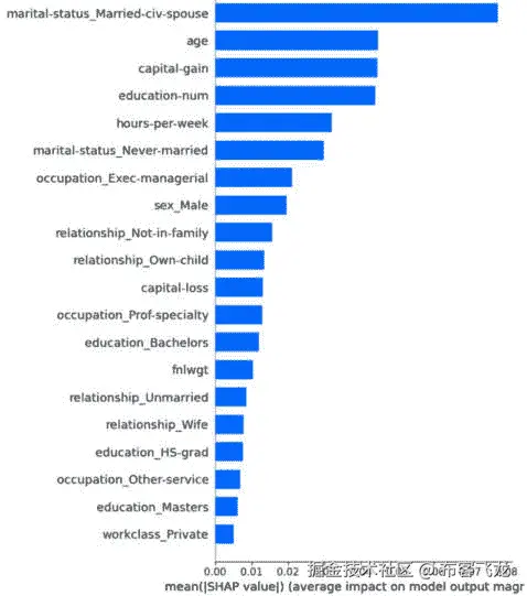 图 12.6：SHAP 输出