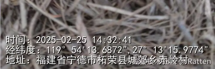 输入图片说明