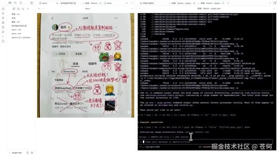 wxv_4290157218697052161