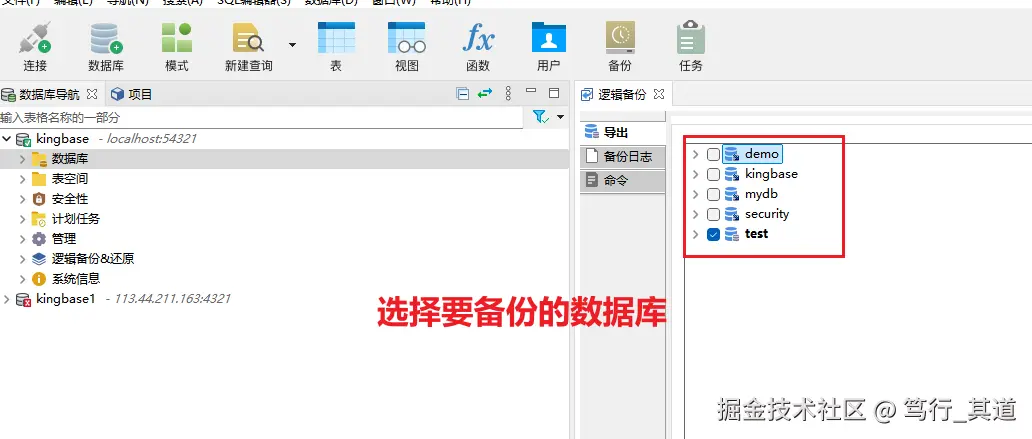 选择要进行备份的数据库