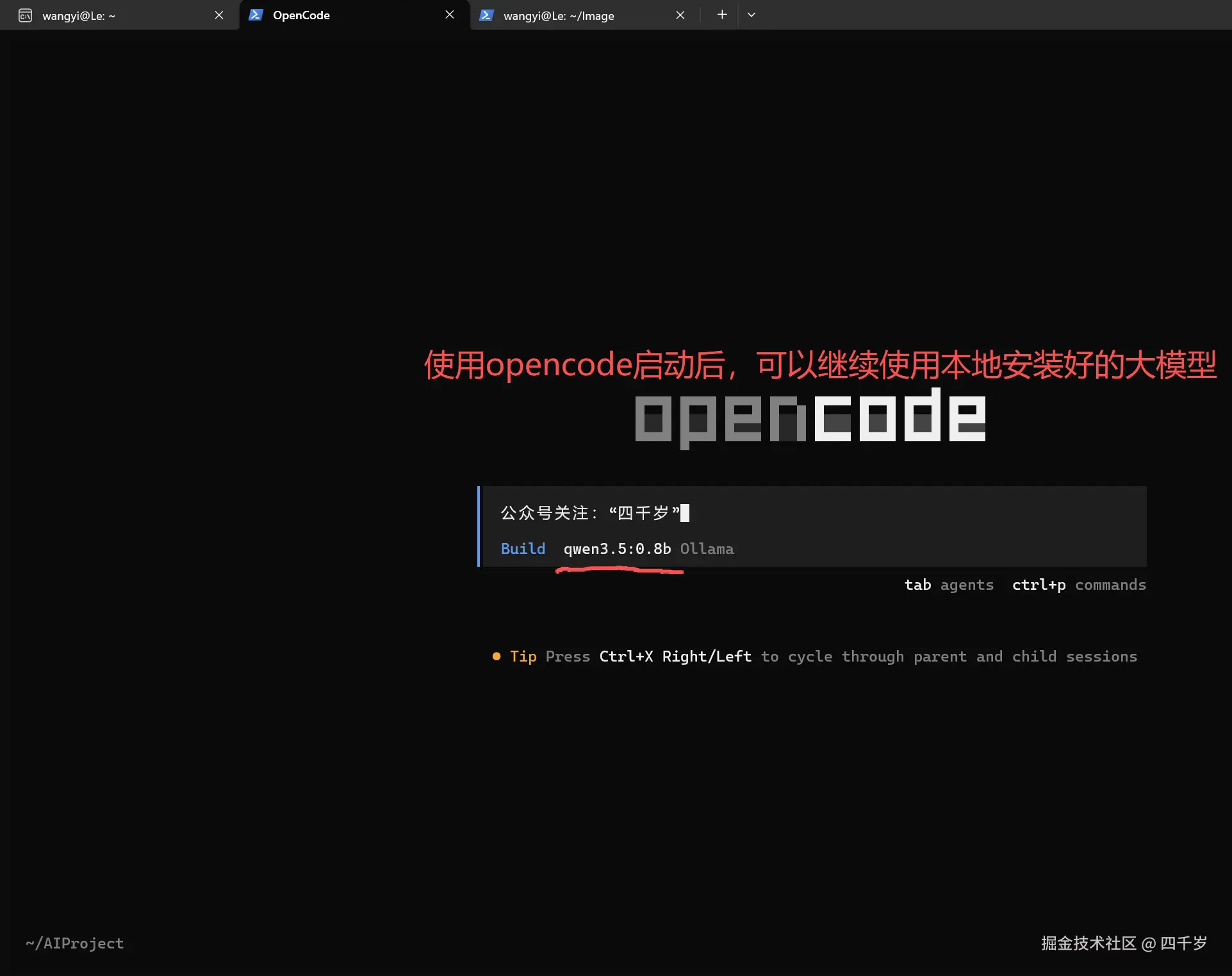 opencode可以继续使用本地安装好的大模型