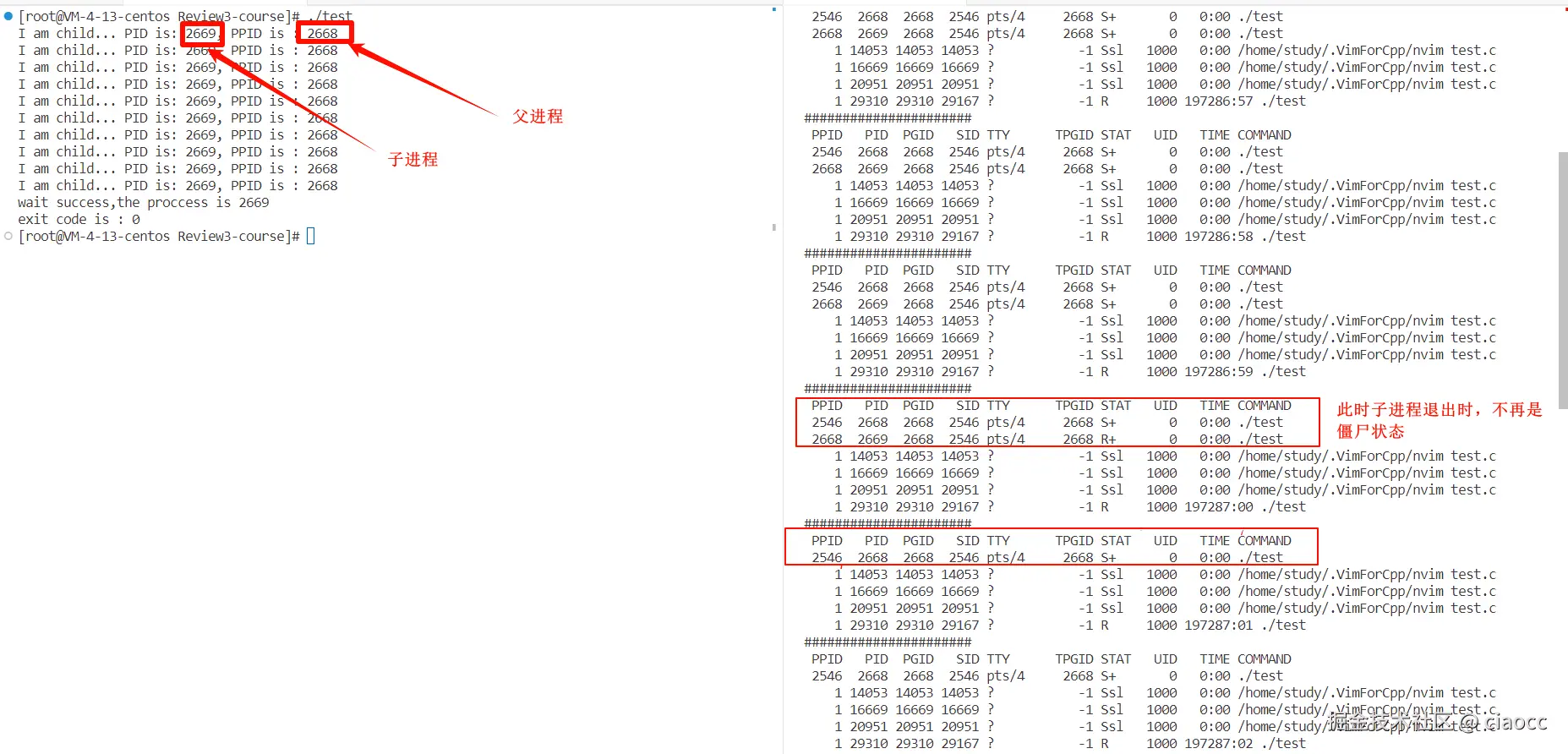 image-20231214163834746