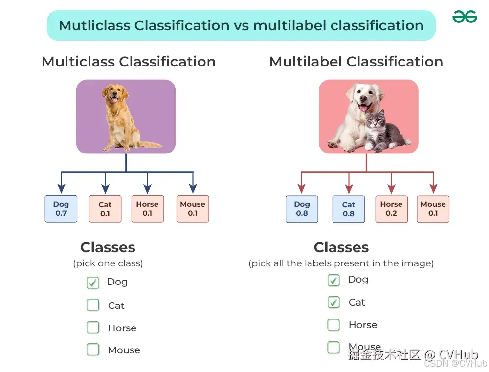 Image Classification