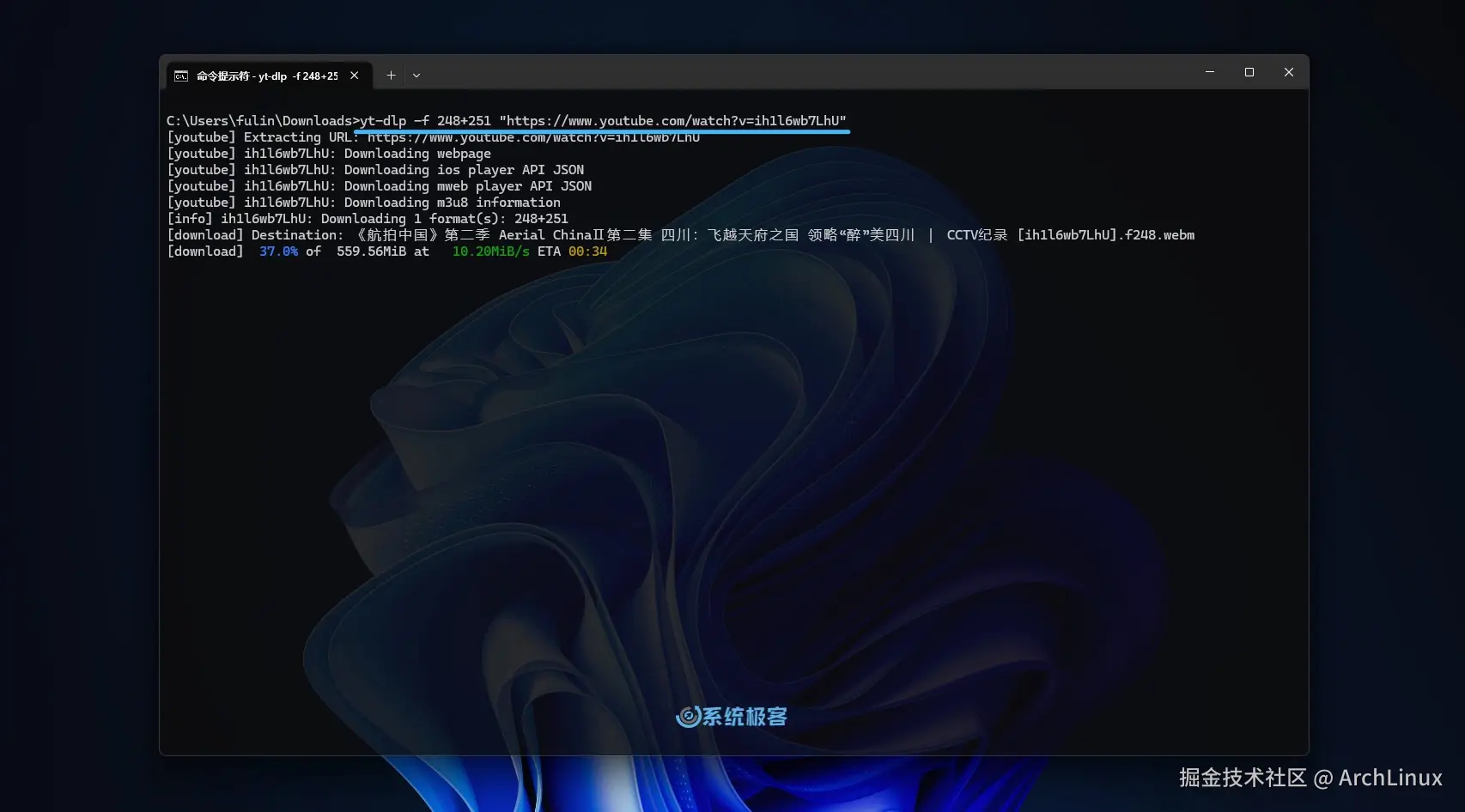 使用 yt-dlp 下载指定视频和音频 ID