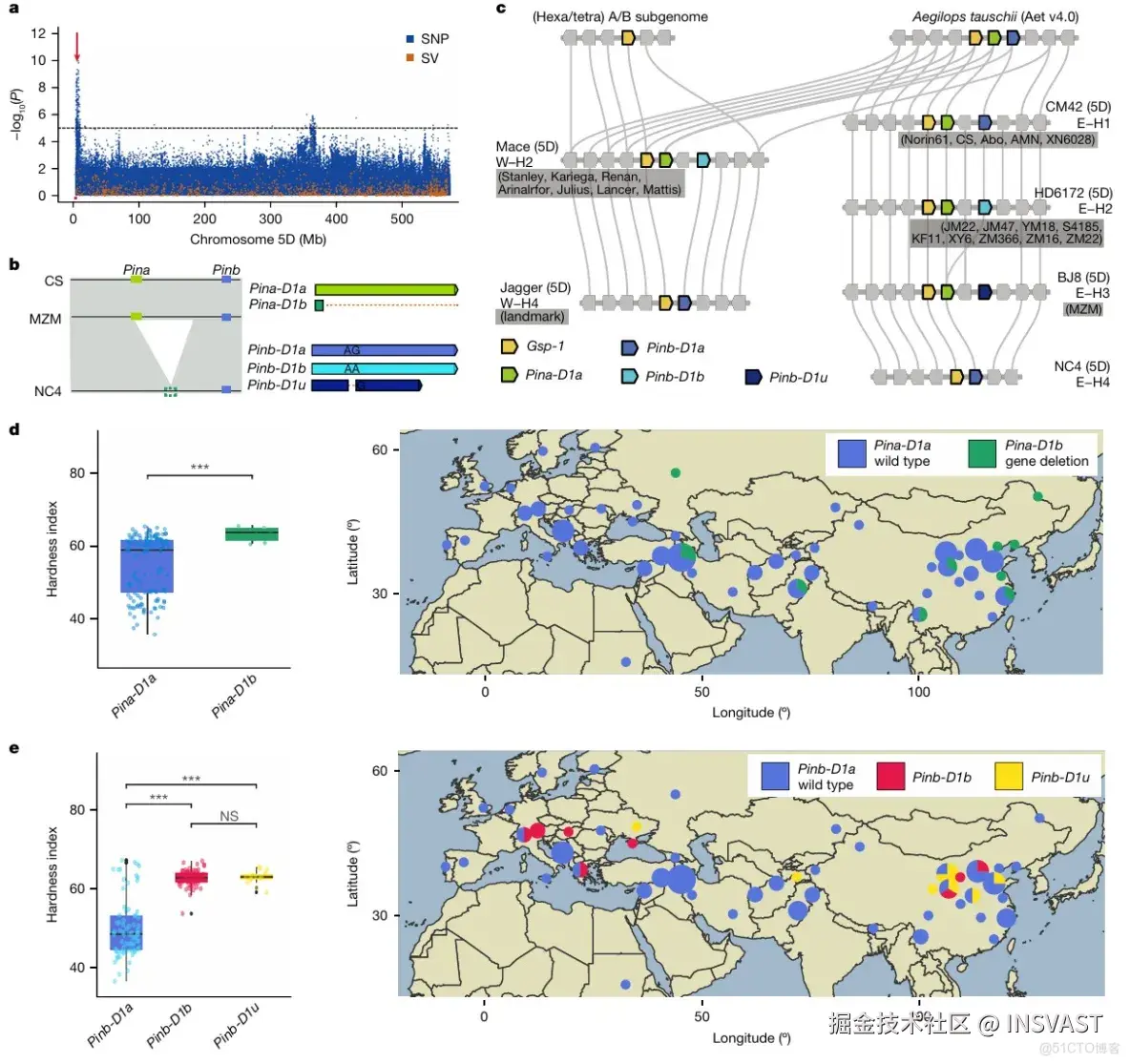  Sentieon项目文章 | 泛基因组揭示小麦结构变异与栖息地及育种的关联_数据库_06