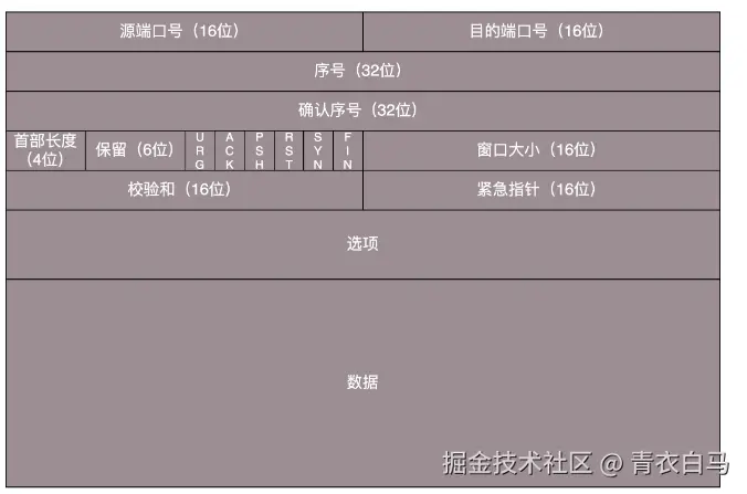 tcp包头格式.png