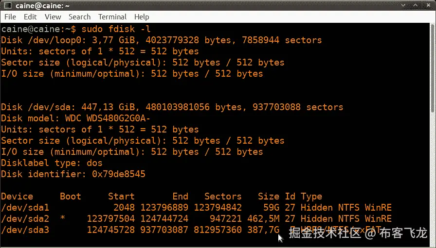 图 8.23 – fdisk 输出数据