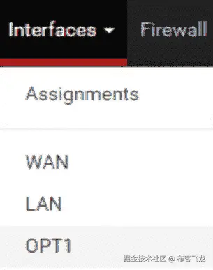 图 12.5 – 新的 OPT1 接口    
