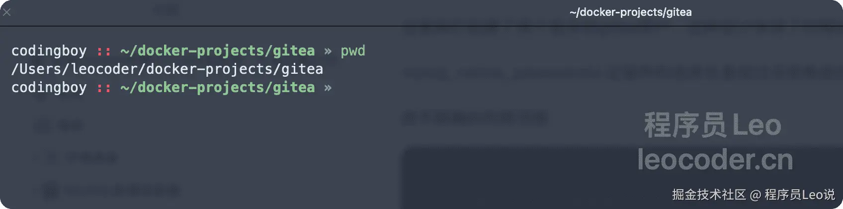 image-20250606215710587