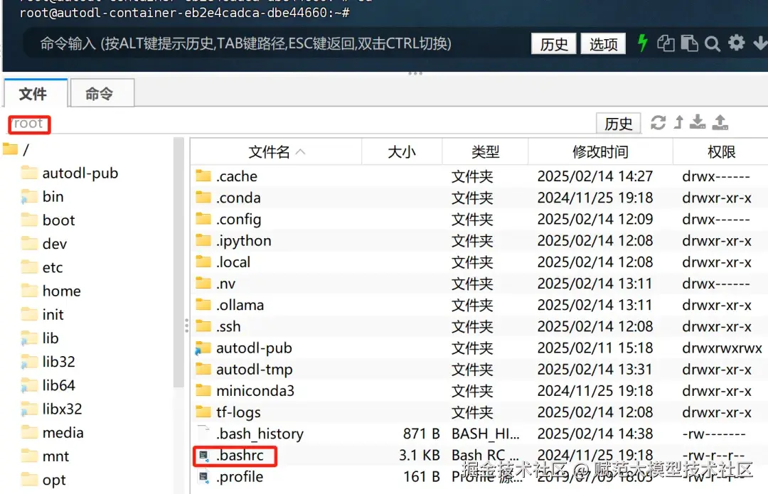 image-20250214144012447