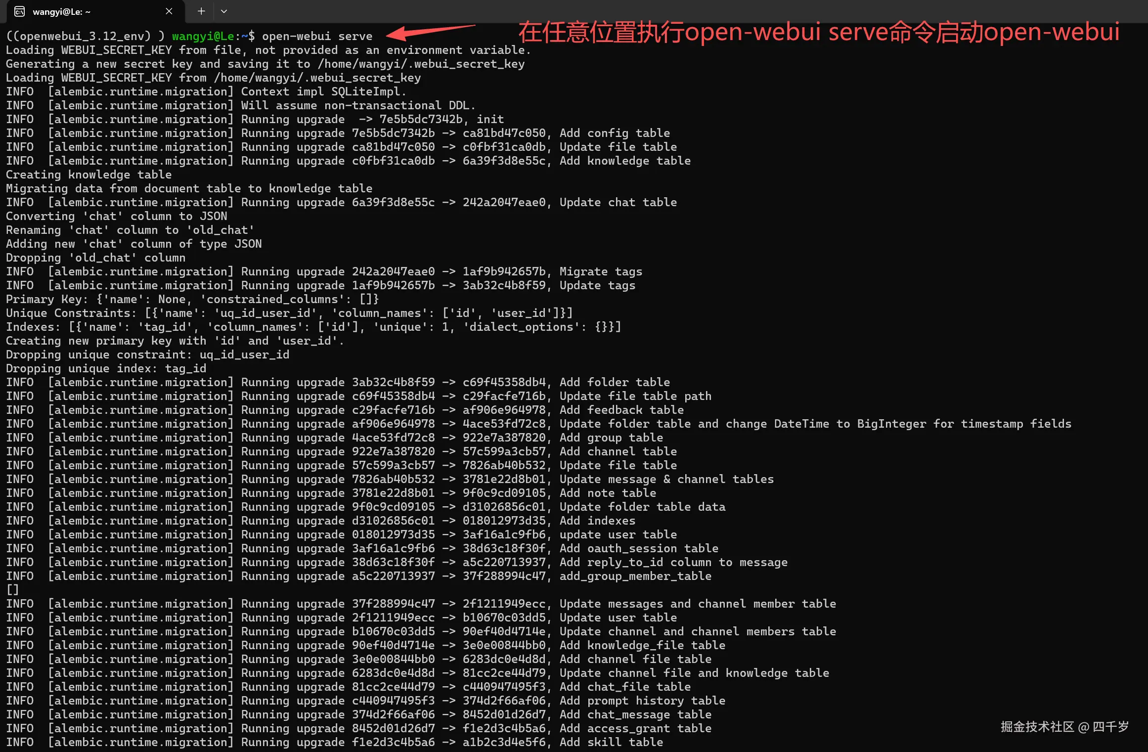 在任意位置执行open-webui serve命令启动open-webui