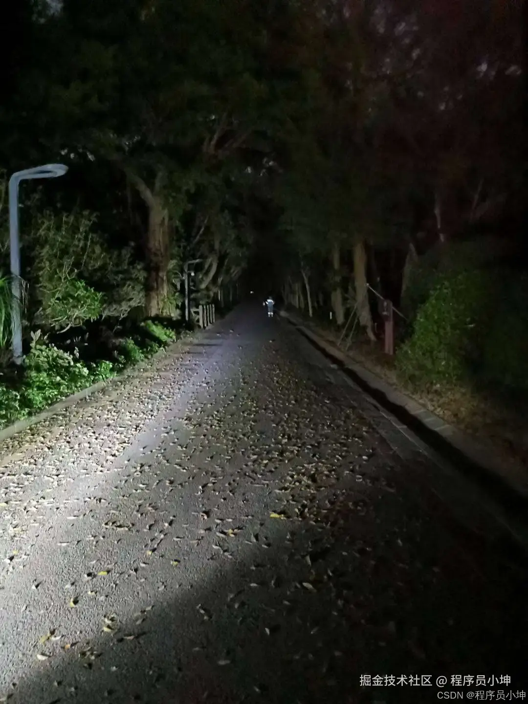 拍摄于深圳南山区塘朗山龙珠门附近