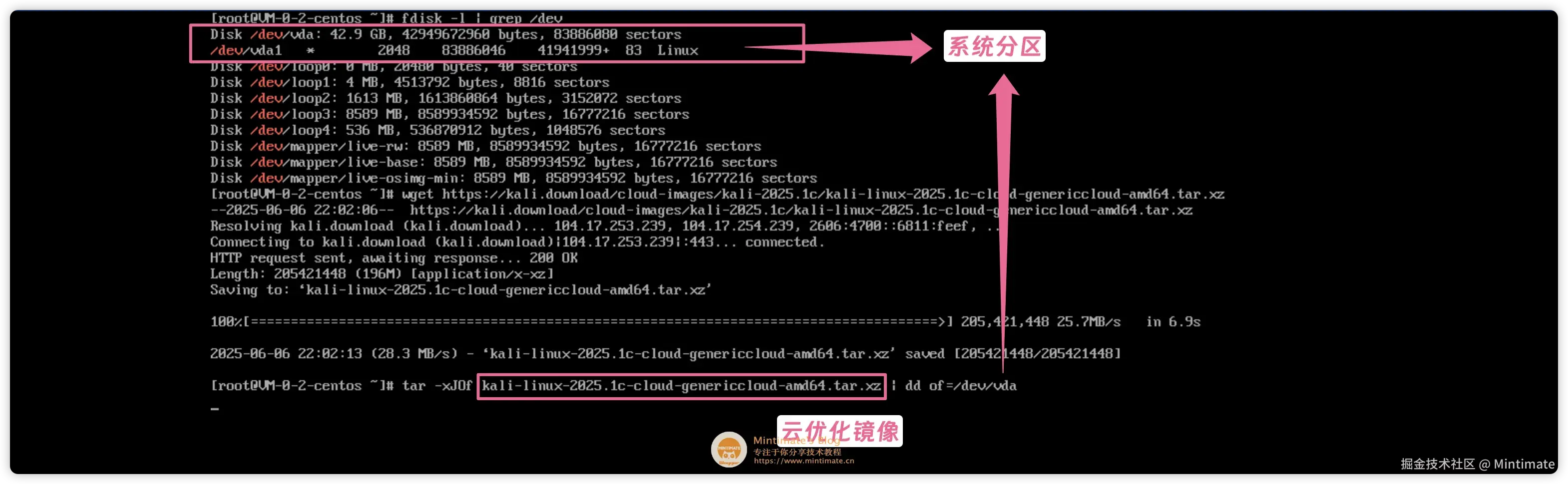dd 安装 Kali Linux 云优化镜像