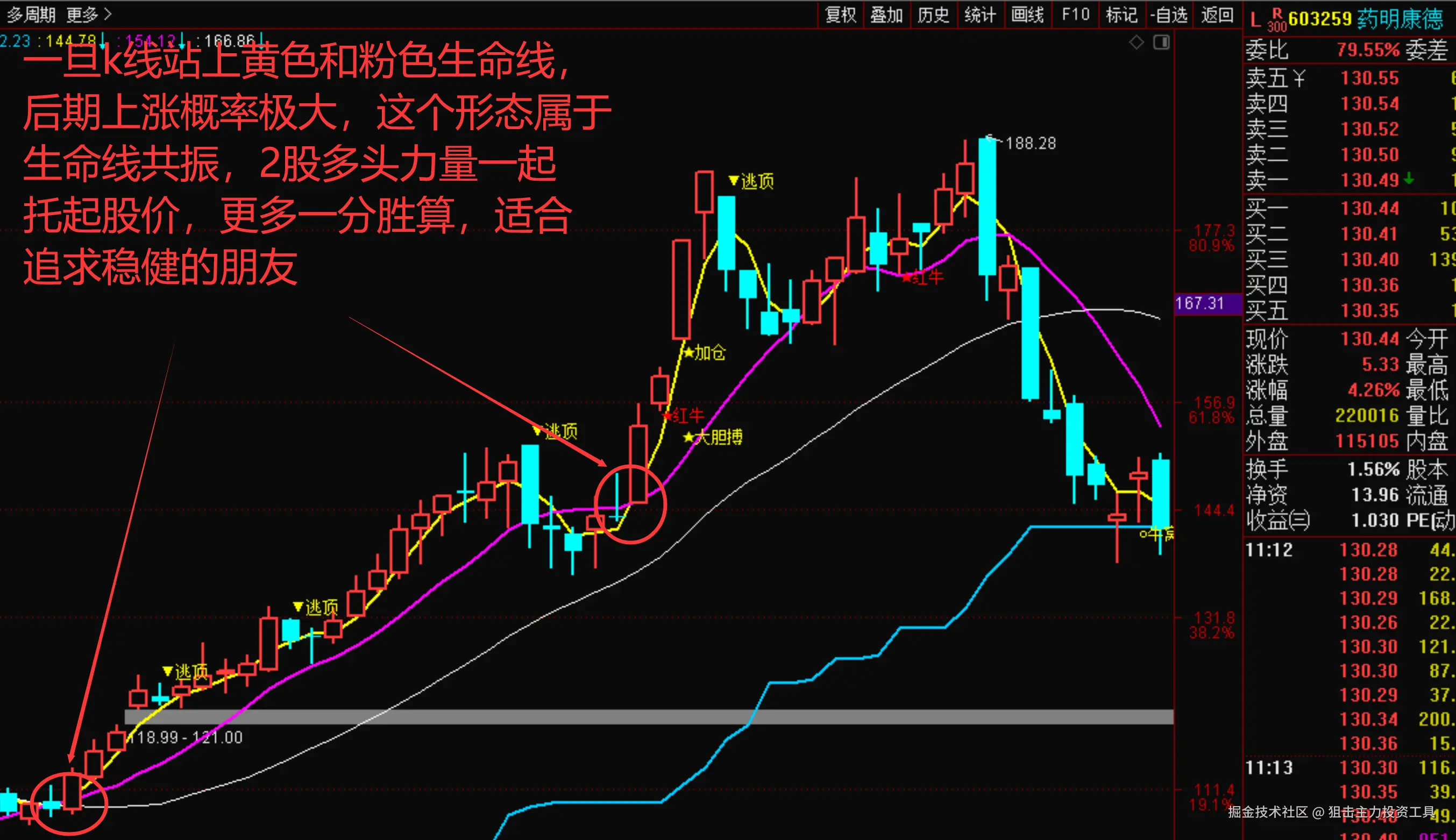 2条生命线共振.png