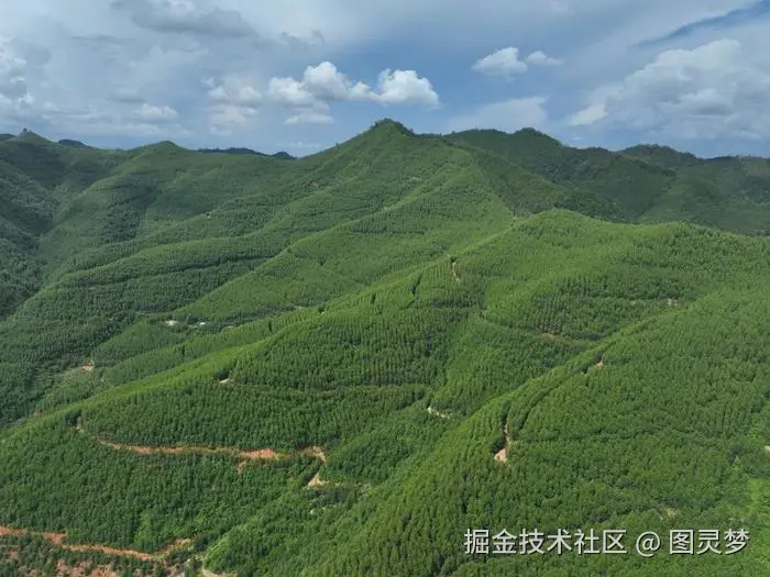 DeepSeek赋能智慧林业：森林资源监测，推动森林生态保护与生物多样性