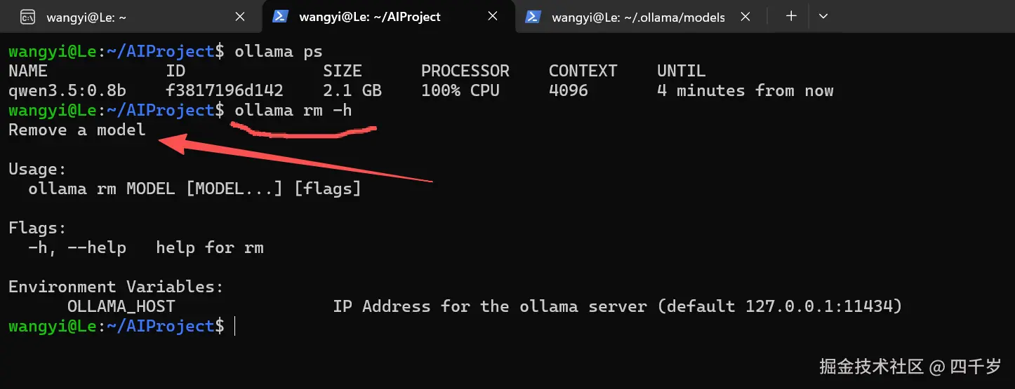 删除本地安装的大模型