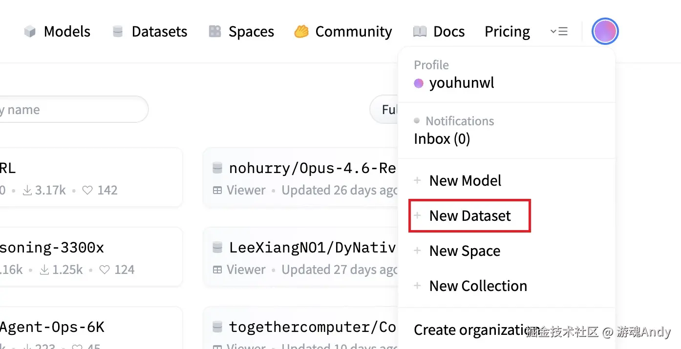新建一个Dataset
