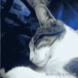 自动生成的文本描述