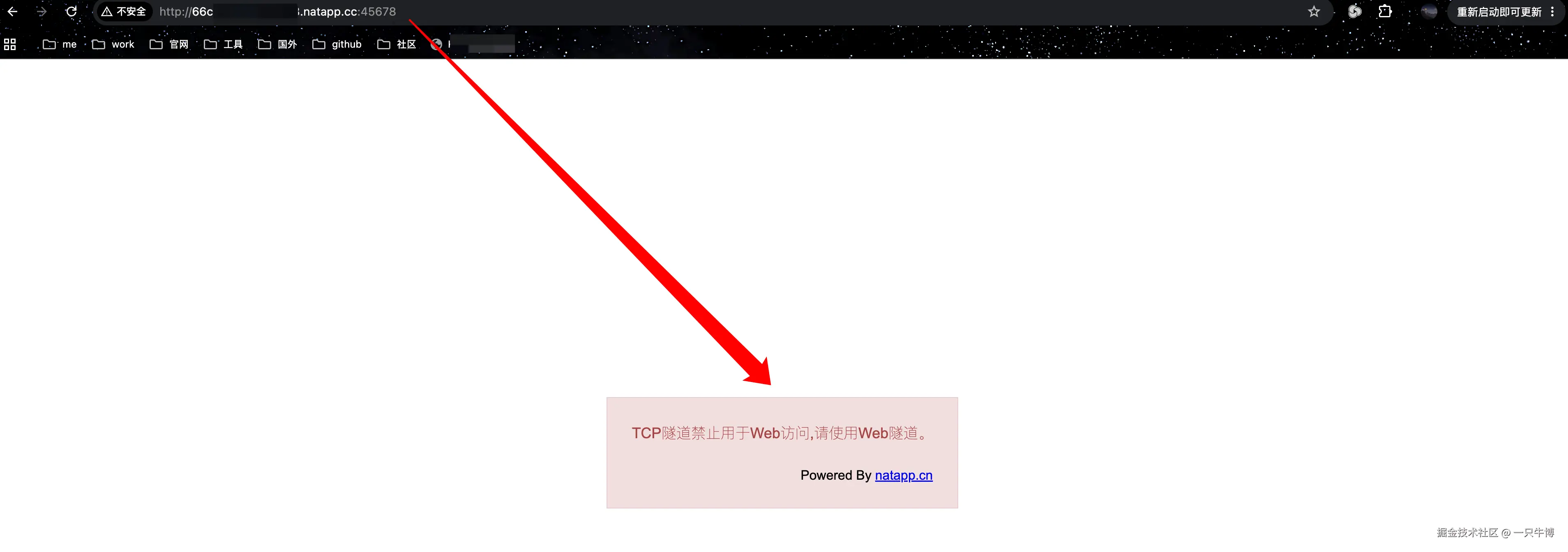 TCP 隧道不能作为普通网页访问