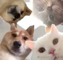 1752632662865.png