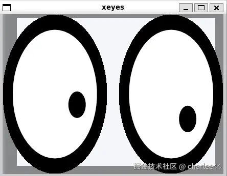 图6 Win11系统启动Ubuntu GUI程序xeyes