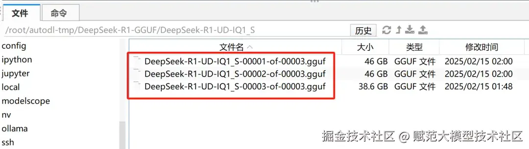 image-20250221185644948