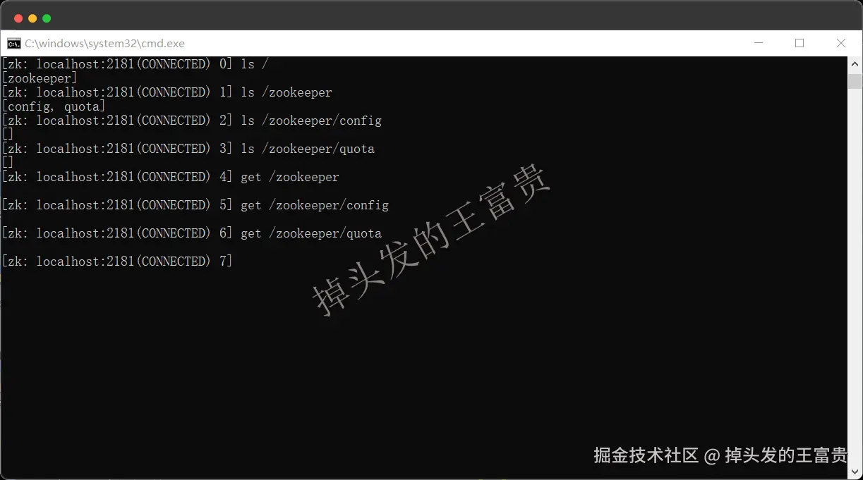 image-20250112103850077