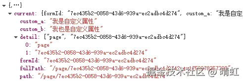 当前页面路由数据