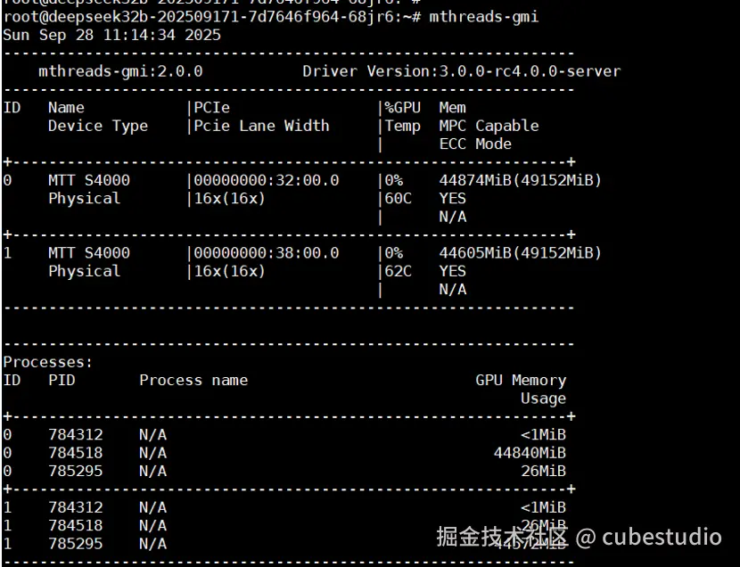 容器内 mthreads-gmi