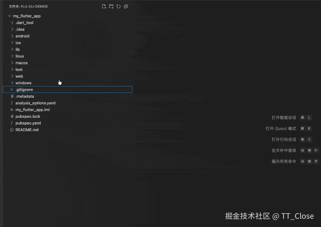 init-config.gif