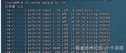 image-20241024105233906