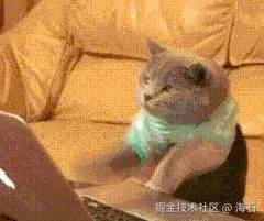 maomao.gif