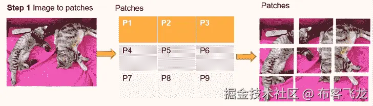 图表，树状图描述自动生成