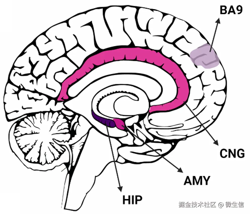 fig1.png