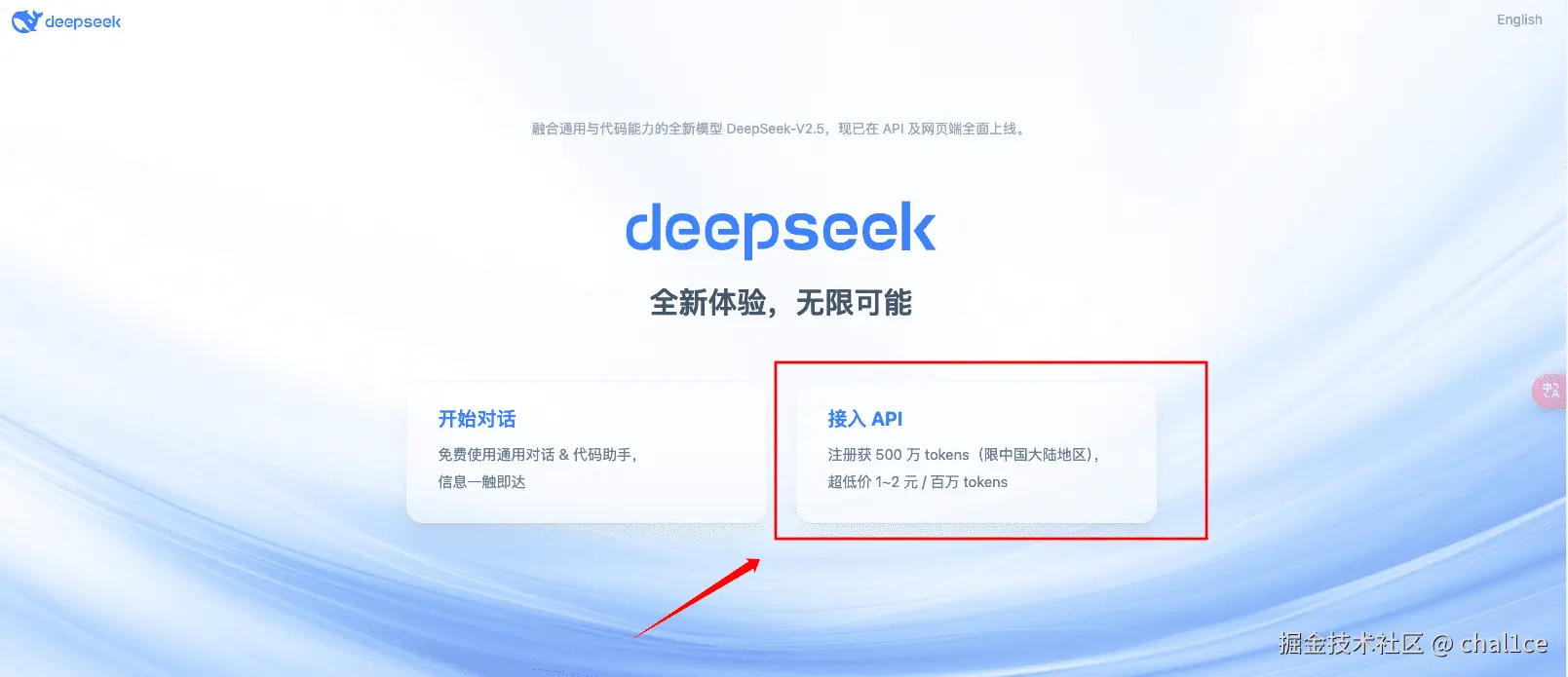 deepseek官网