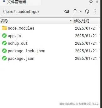 image-20250121134704632