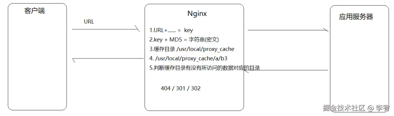 image-20241008145146254