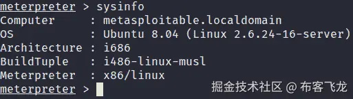 图 3.30 – Metasploitable2 meterpreter 会话