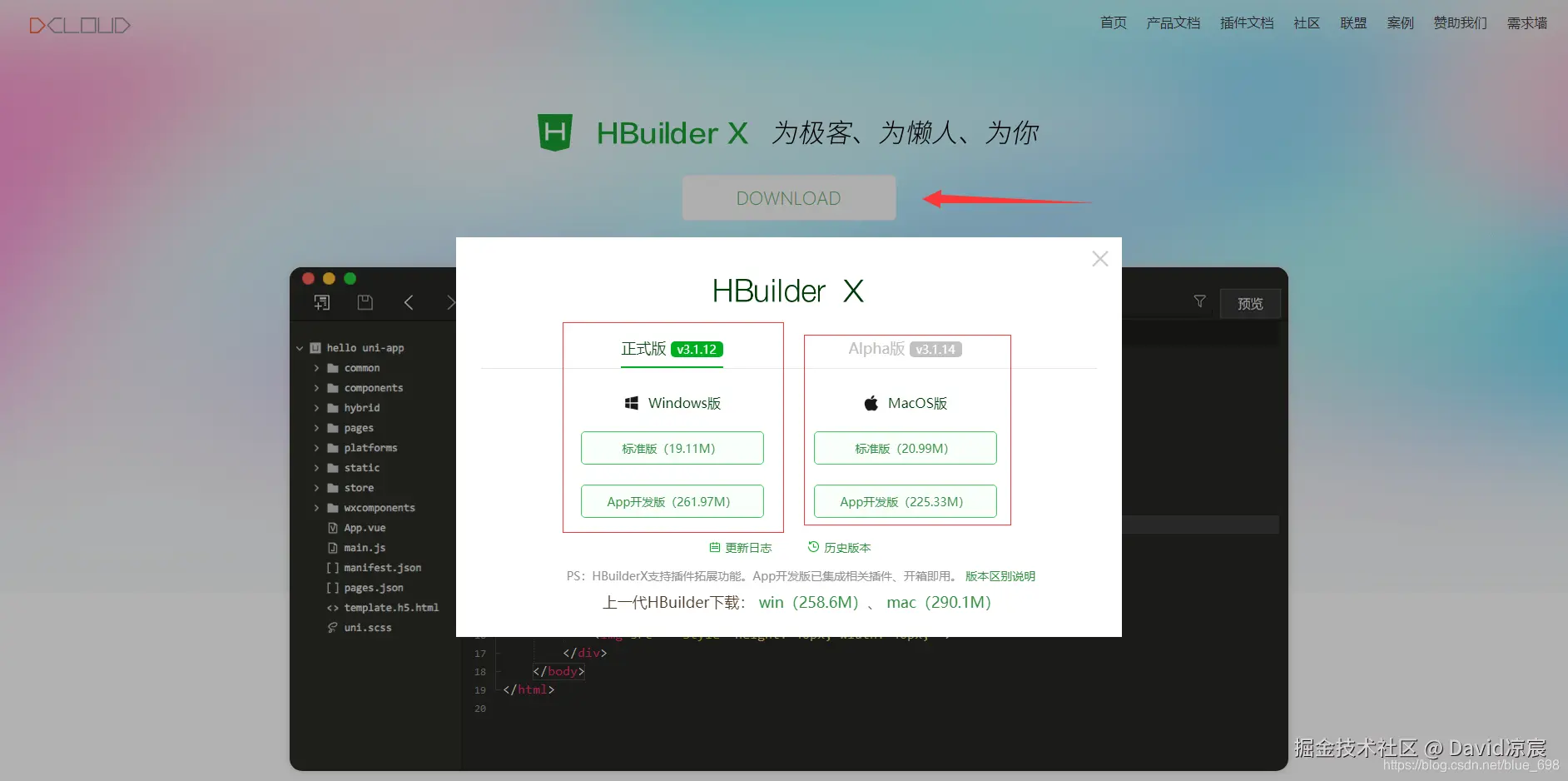 在这里插入图片描述
